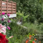 Hotel de apartamente Appartments Zoe Agios Ioannis (Thessaly)