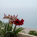 Appartments Zoe Agios Ioannis (Thessaly)