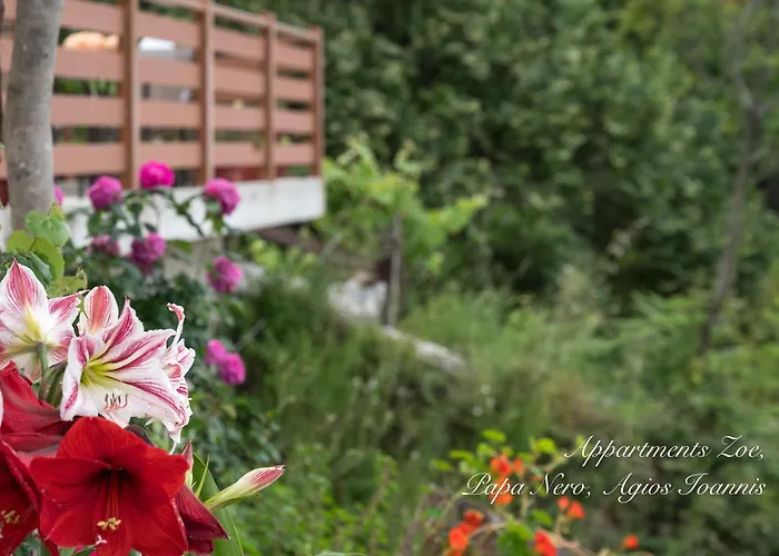 Апарт-отель Appartments Zoe Agios Ioannis (Thessaly)