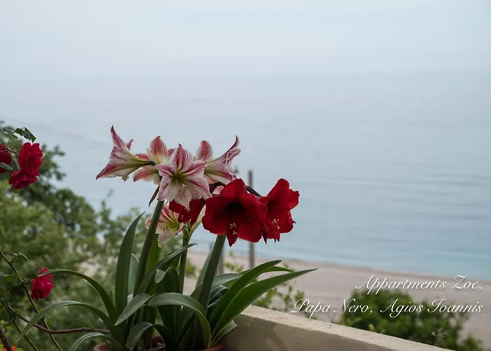 Appartments Zoe Agios Ioannis (Thessaly)