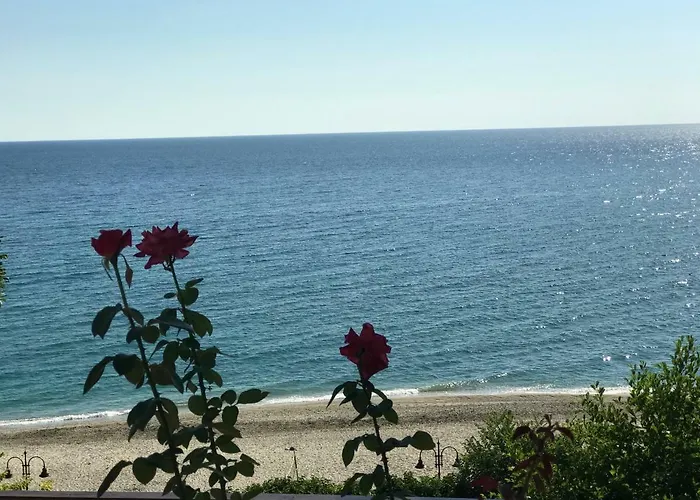 Appartments Zoe Апарт-отель Agios Ioannis (Thessaly)