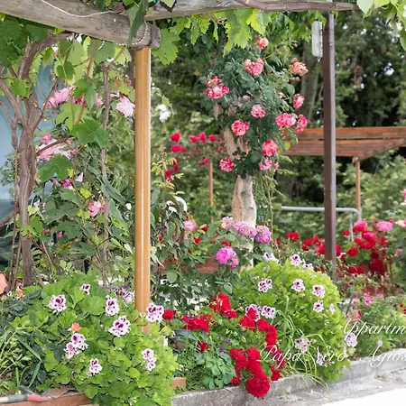 公寓式酒店 Appartments Zoe