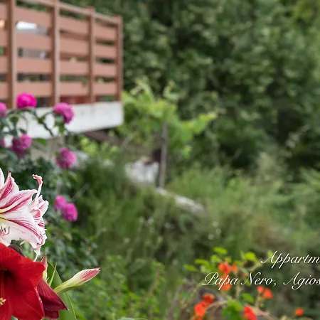 公寓式酒店 Appartments Zoe Agios Ioannis (Thessaly)