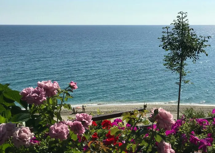 Appartments Zoe Ξενοδοχείο με διαμερίσματα